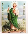 Novena, Triduo, Rosario, Cuarentena y Otras Oraciones a San Judas Tadeo